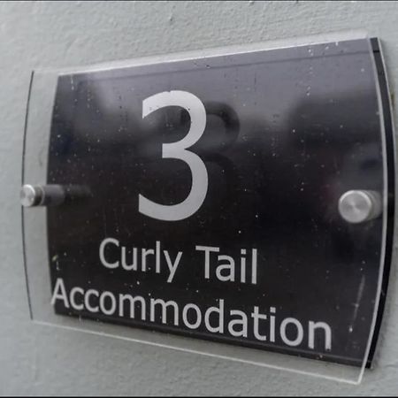 Curly Tail Accommodation Bishop's Castle Exteriör bild
