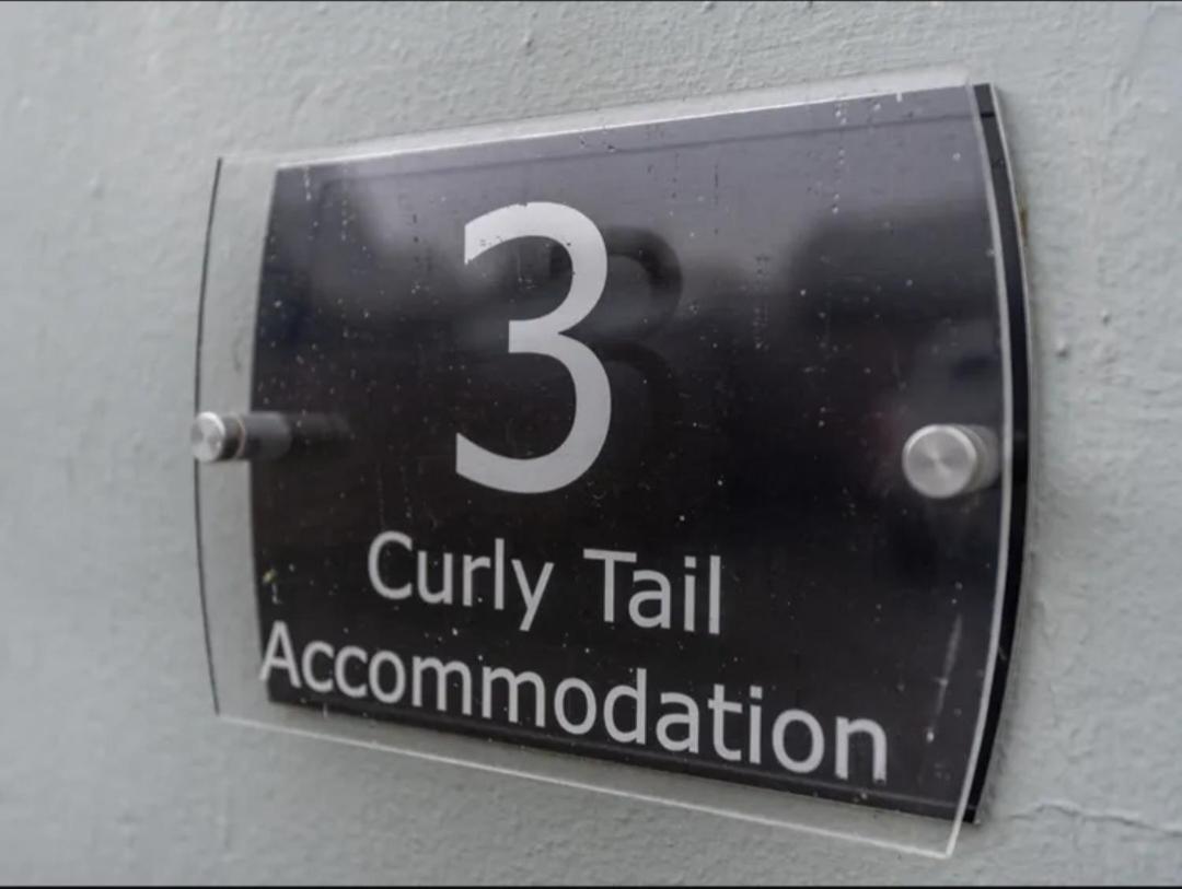Curly Tail Accommodation Bishop's Castle Exteriör bild
